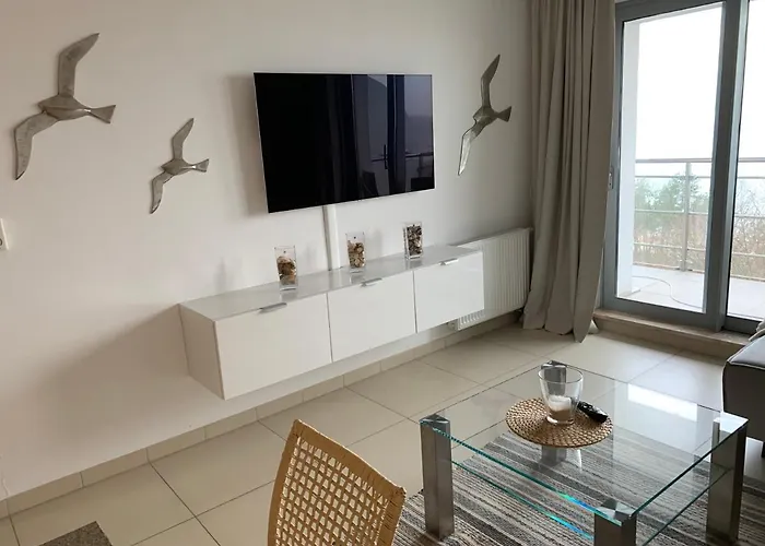 Wechta Baltic 608 Z Widokiem Na Morze 米兹多洛杰