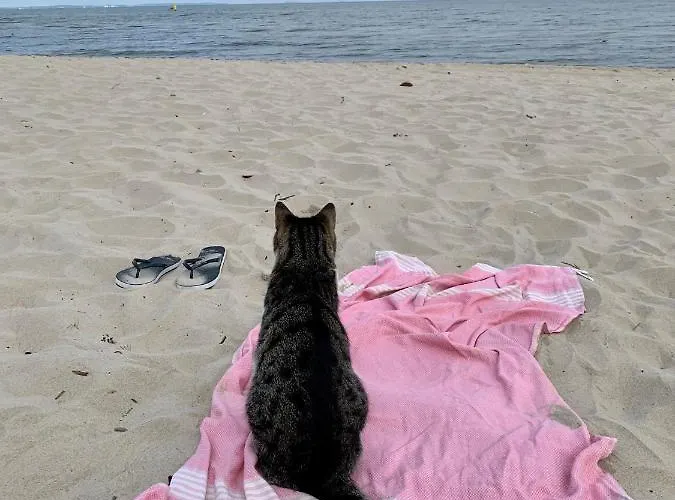 דירה Wechta Baltic 608 Z Widokiem Na Morze